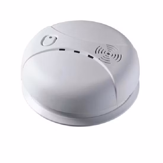 Battery Operated Electrochemical Co Carbon Monoxide Alarm Detector